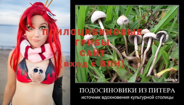 соль курить ск Медвежьегорск