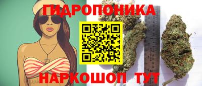 ECSTASY Берёзовский