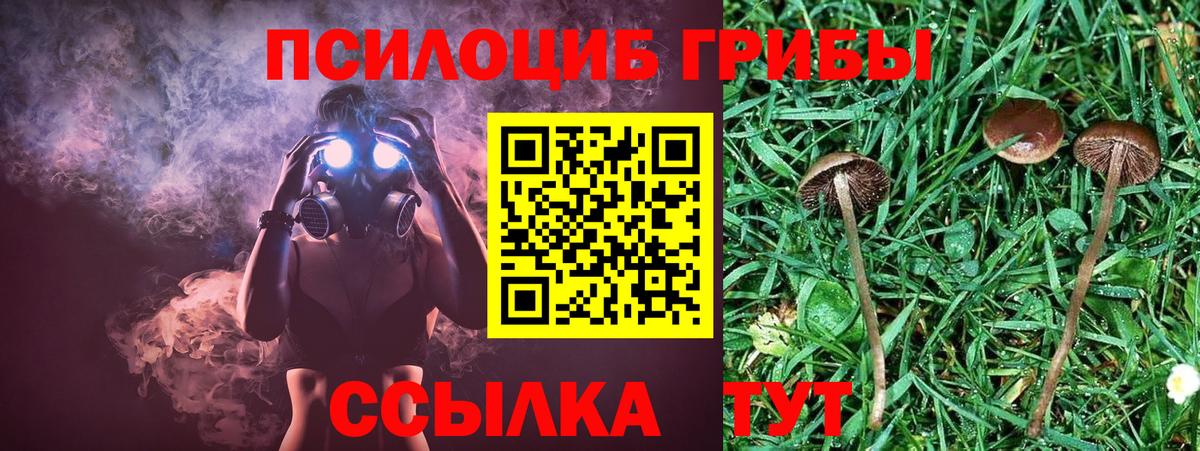 Галлюциногенные грибы MAGIC MUSHROOMS  Кузнецк  Псилоцибиновые грибы прущие грибы 