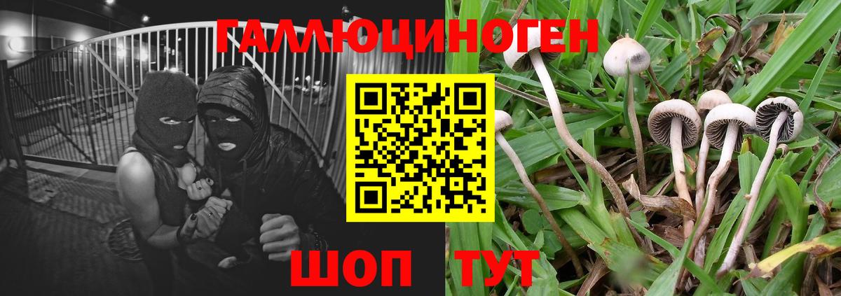 Галлюциногенные грибы прущие грибы  Вход с VPN  Кузнецк 
